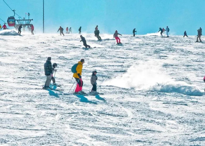 Quaint In Eimelrod Near And Water Sports * Willingen (Upland)